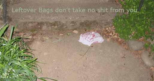 leftoverbags.com the ultimate experience