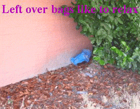 leftoverbags.com the ultimate experience