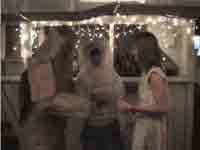 Trash Talk video thumbnail