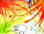 Sheep named cid